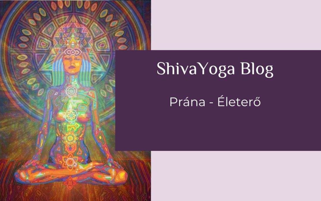 Prána életerő blog